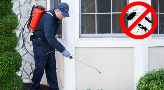 Yusufeli Gümüşkurt İlaçlama böcek ilaçlama ve haşere kontrolü — ilaclama-tr.com